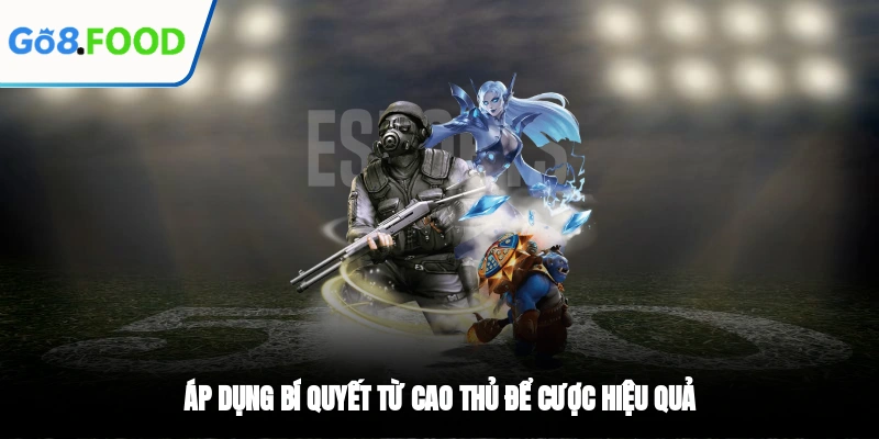 Áp dụng bí quyết từ cao thủ để cược hiệu quả